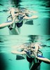 tumblr_le6m6kFp281qf8g0to1_500