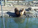 Unknown000101