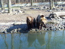 Unknown000102