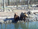 Unknown000103