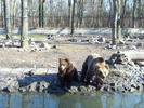 Unknown000104