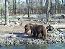 Unknown000106