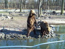 Unknown000108