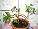 P1040833