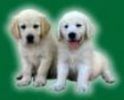Copy of tn_images111