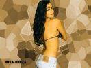 1158652269_1024x768_diya-mirza-bollywood-actress-sexy-wallpaper