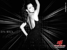 dia-mirza5