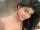 shreya-saran-wallpaper-1