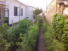 DSC05407