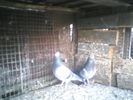 P14-03-11_07.36[1]
