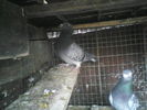 P14-03-11_07.36[3]