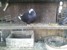 P14-03-11_07.37[1]
