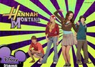Hannahmontana