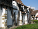 Harman - Honigberg