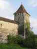 Harman - Honigberg
