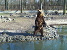 Unknown000105