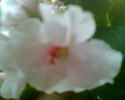 Imag010