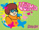 velma_wall2_1024x768