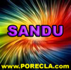 281-SANDU%20profesor[1]
