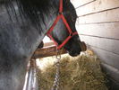 Picture 081