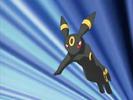 Umbreon:lasati-ma!!!