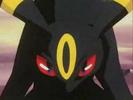 Umbreon:Lasati-ma in pace!voi!!