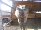 Picture 091