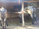 Picture 099