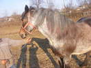 Picture 102