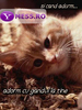 phpThumb_generated_thumbnail_4
