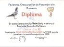 Diploma 3 001