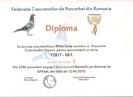 Diploma 7 001