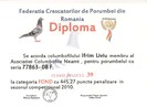 Diploma 9 001