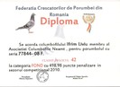 Diploma 10 001