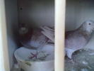 Picture 171