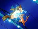 (Buizel face pulcul apei)