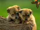 EB3CAYDZ3PYCA5DVH2OCA5XP6G9CAM5DLR1CAJEFQHRCACFEPHVCAHU8BX0CAWJXKJKCACXMWFPCA4NC5X5CAZ98Q6SCA15JTPVC