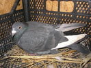 SANY0390