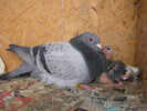 SANY0392