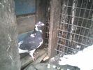 P17-03-11_06.59[1]