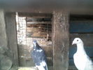 P17-03-11_06.58[1]