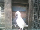 P17-03-11_06.58[2]