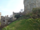 DSC06817