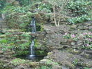DSC06821