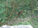 DSC06836