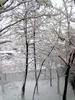 iarna...