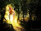 VaeloStudio_Butterfly_Women_1024x768