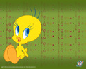 tweety_02_1280