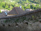 Sighisoara