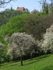 Sighisoara